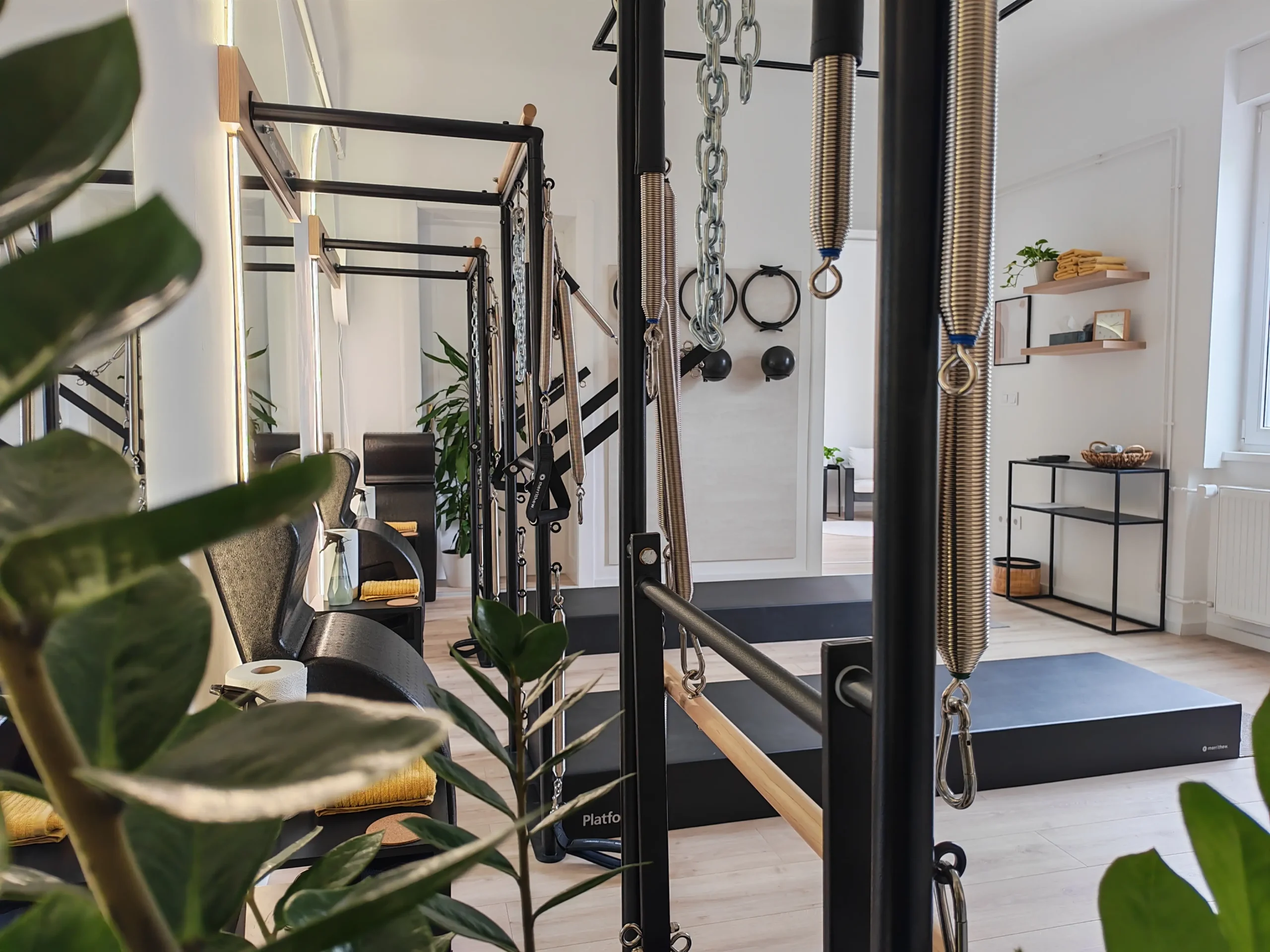 Wall Unit pilateseszközök rugókkal és kapaszkodókkal, növények között